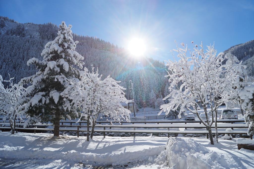 Ski- Und Wander Schiffer Apartmán *